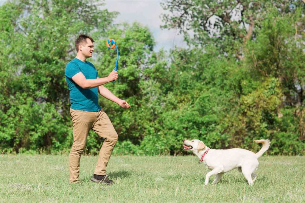 Man playing with his pet dog outside in the summer heat